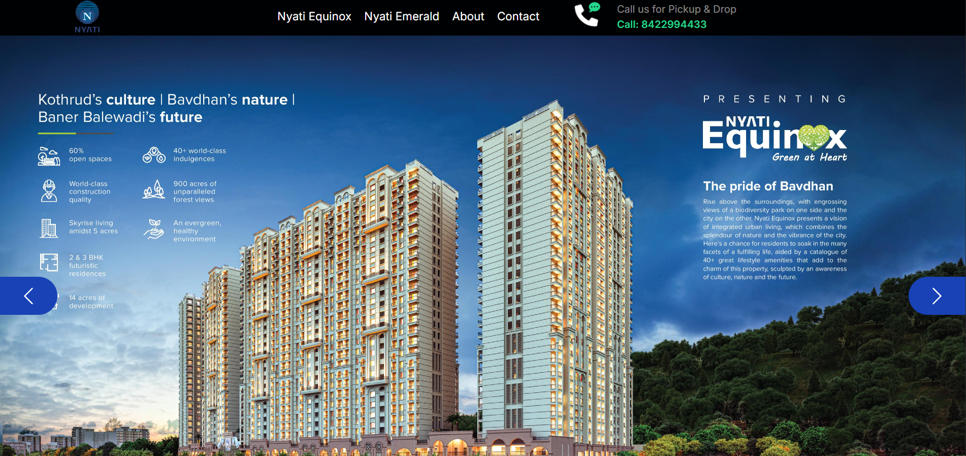 Nyati Group website screenshot